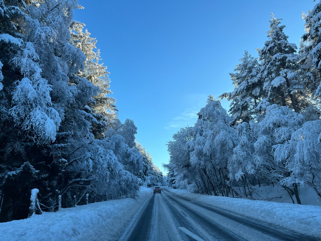 Is It Worth Visiting National Trust Places in&nbsp;Winter?